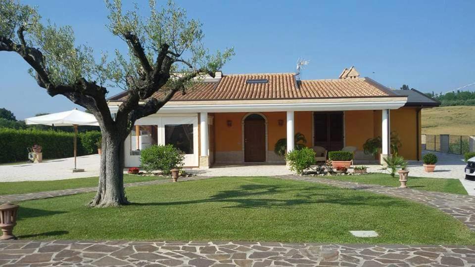 B&B Agrifoglio SantʼElpidio a Mare Eksteriør bilde